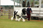 SBM_06268