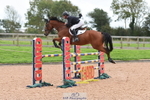 Cls 5 Foxhunter & Open portfolio
