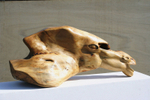 Equus portfolio