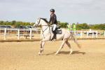 SBM_001913