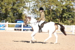 SBM_12516