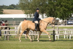 SBM_09643