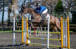 Senior Showjumping_10-11-2019-52