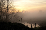 Morning mist 1