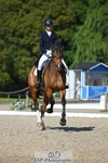 256-ALS_RUSSIAN_ROLEX-Jemima_Howden-WEDTrotUp+DR portfolio