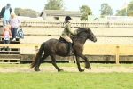 SBM_69364