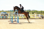 SBM_006045