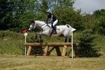 319-Alice_Whiting-SILVER_BELLE portfolio