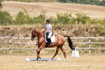 SBM_002918