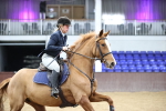 SBM_005597_Class 13 - Senior British Novice - 90cm Open