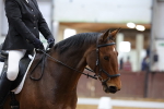 SBM_001015