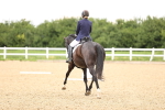 SBM_001944