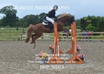 BPP_9503