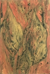 Seed Pods