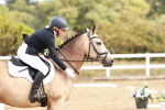 SBM_009913