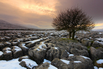 Winter Limestone pavement near Ingleborough, Yorkshire Dales. ref 9253