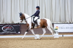 SBM_003572