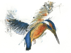 WORKS IN COLOUR portfolio