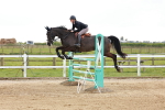 SBM_002634
