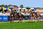 130826-Race 1-Not My Type-7856