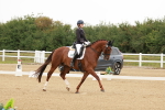 SBM_009849