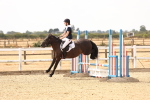 SBM_001184