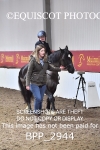 BPP_2944