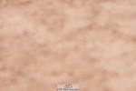 240505A-115742-05521