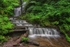 Scaleber Force