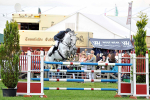 EQUISCOT 9318