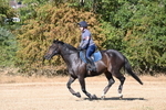 WJ6_6843