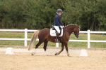 SBM_01036