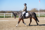 SBM_002196