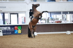 SBM_000798