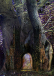 F7 Tree Doorway  (A4)