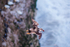Windy Time_1150594