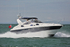 160813 BALLENA FAIRLINE TARGA 43 Y92A2000