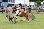 SBM_08238