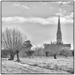 Salisbury Cathedral from the meadows