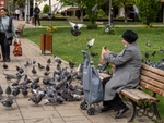 Sharing