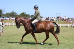 3E7A7793