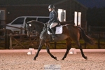 Dressage Qualifier - Click to View Photos portfolio