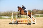 SBM_000798