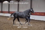 BPP_2502