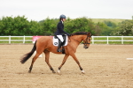 SBM_005338