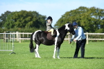SBM_36812