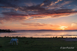 Skyscape at sunset at  Lough Neagh Pasture