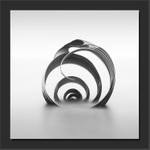 Mary's Shell