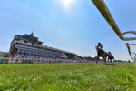 Race 1 13.53pm Best Ticket Deals Online @thirskraces Book Now Restricted Maiden Fillies' Stakes portfolio