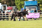 SBM_00795